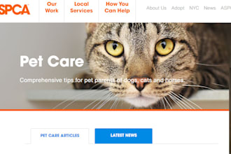 design pet care website for groomers, vet, sitter and stores on wordpress