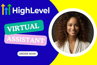 do gohighlevel virtual assistant expert for ghl website funnel workflow