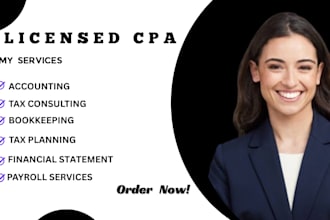 be the accountant, tax consultant, and financial advisor for your business