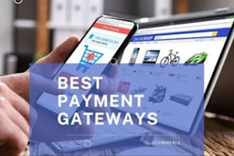 integrate payment gateway, payment processor, fintech app