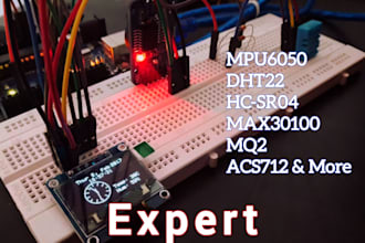 provide sensors integration and coding services