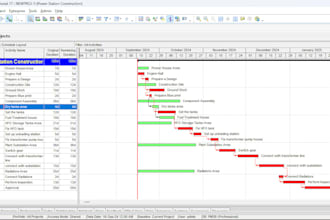 provide professional primavera p6 scheduling and project management service