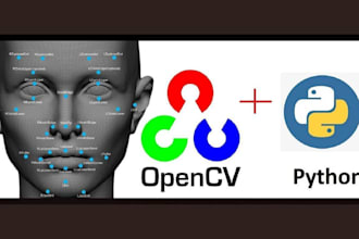 do image classification, face recognition, object detection, opencv, ai accident