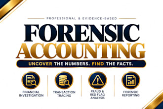 perform forensic accounting, financial investigation and fraud analysis