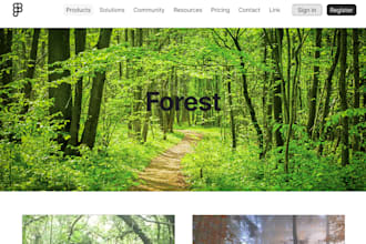 design a website prototype in figma and develop it for you