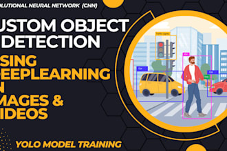 build ai deep learning machine learning llm nlp yolo model, projects and task