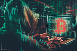 provide expert crypto investigation,uncover fraud, track transactions, analyze