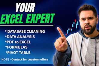 do excel data cleaning , data analysis , PDF to excel data and pivot table