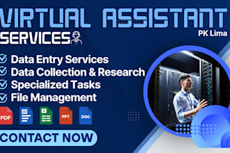do data entry, web research, file conversion and formatting