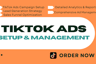 setup tiktok ads campaign, manage tiktok ads to generate leads and sales