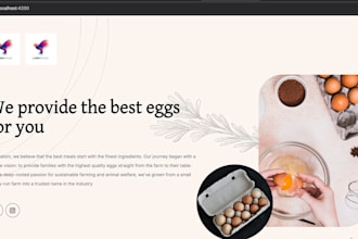 make custom web applications which are fast and reliable with hosting setup