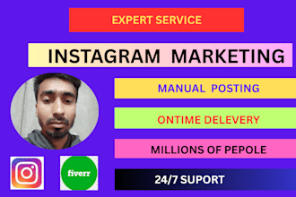 do instagram marketing ,and organic promotion,