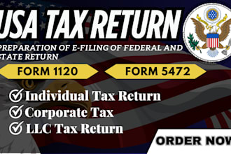 us tax filing, canada US tax returns, llc tax, business tax 1120 5472 1040 cpa