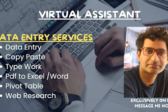 do fast and accurate data entry manual or web research