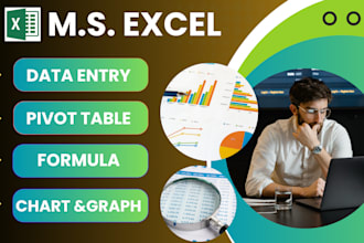 do professional ms excel formulas, pivot table, charts
