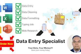 do all type data enty, copy paste, and typing job