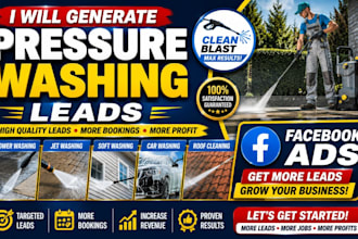 pressure washing leads power jet soft car roof cleaning via facebook ads website