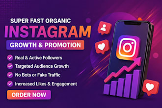 do instagram promotion and fast growth