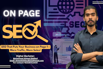 do SEO optimization for wordpress, shopify and squarespace
