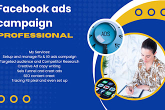 do the best facebook ads campagin with targeted audiance