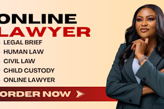 be online lawyer for legal brief civil law human law child custody law lawyer