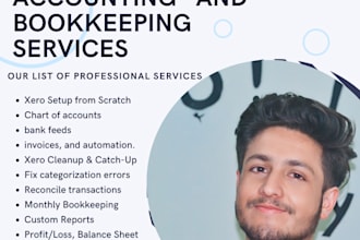 do xero accounting  setup and cleanup bookkeeping