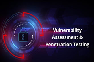 do security assessment and compliance, VA and penetration testing