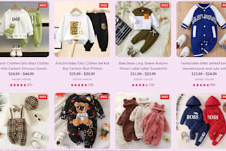 develop a professional dropshipping store from scratch to advanced