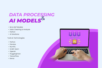 preprocess, clean, and analyze data for ai and ml models