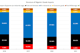 provide expert financial analysis and modeling strategy for emerging markets