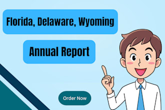 file your llc annual report in any US state and boi submission