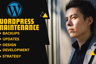 do monthly wordpress website maintenance updates and support