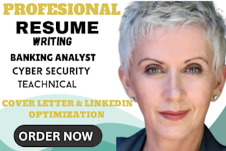 create professional resumes for IT professionals, cybersecurity experts,