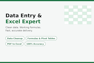 do accurate data entry and excel data cleanup