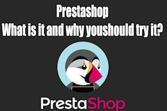 develop prestashop store, bug fix, upgrade, modules, theme customize, migrate