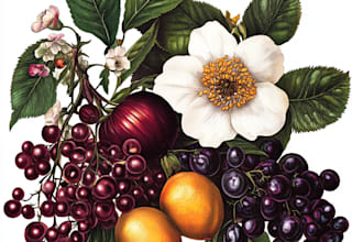 do  hand draw botanical illustration line art of plants
