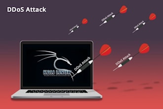 secure your website from ddos attack website kali linux brute force attack