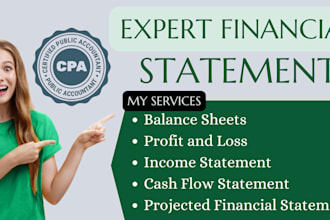 prepare financial statement, income, profit and loss, credit card statement