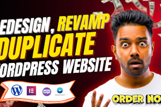 redesign, revamp, duplicate, copy clone wordpress website