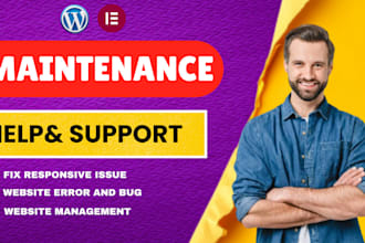 provide wordpress website customization, maintenance, troubleshooting, up