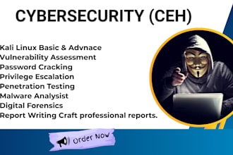 train you in cybersecurity ceh using kali linux and windows