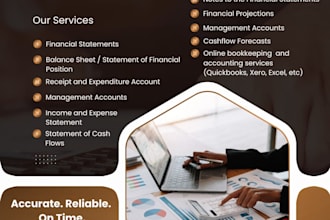 do accounting, bookkeeping, balance sheet analysis, financial analysis