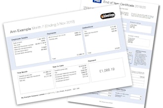 provide UK payroll services for small and medium companies