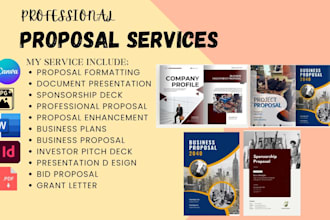write, design sponsorship business proposal, investor pitch deck, letter grant