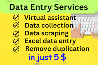 do data entry,web scraping,web research,cleaning data,copy paste and excel data