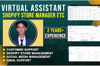 provide shopify customer support and store management