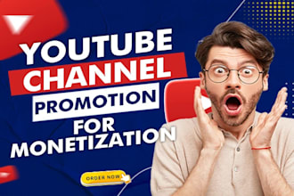 do organic video promotion to complete youtube channel monetization
