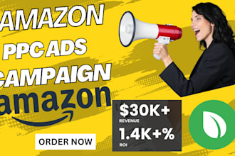 setup manage and optimize amazon store ppc sponsored ads campaign