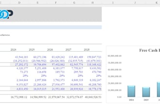 build a professional financial model and analysis for your business