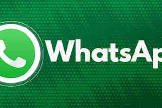 grow your whatsapp channel,whatsap ads,setup tick green,mass dm,bulk sms message